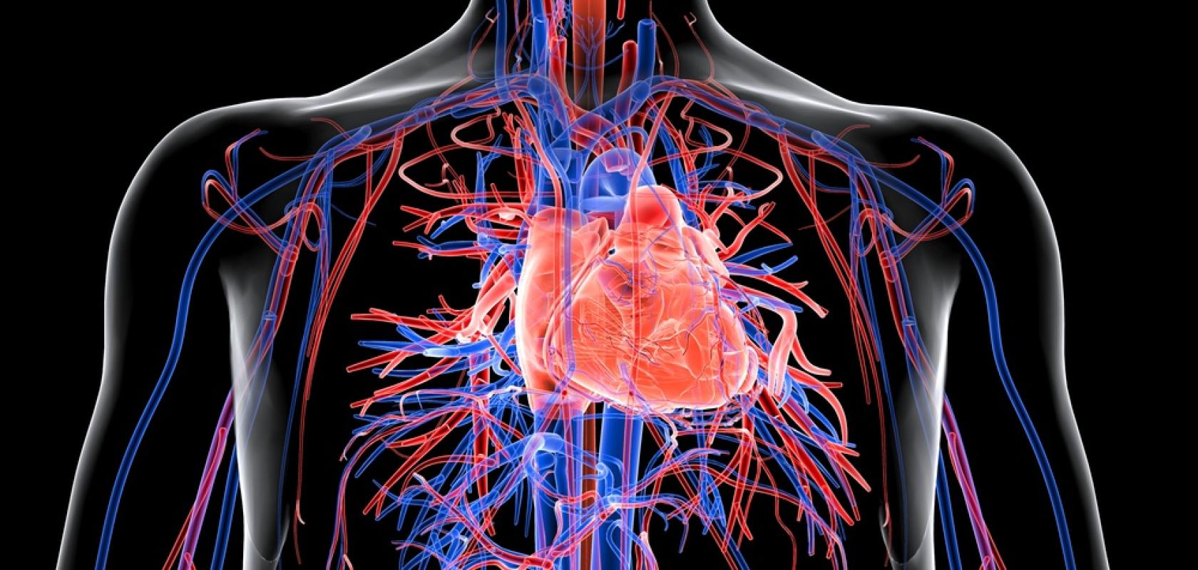 PICbased cardiac diagnostic device receives £1.5m for clinical trials